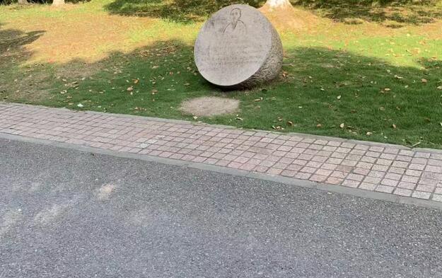 灯笼草的功效与作用