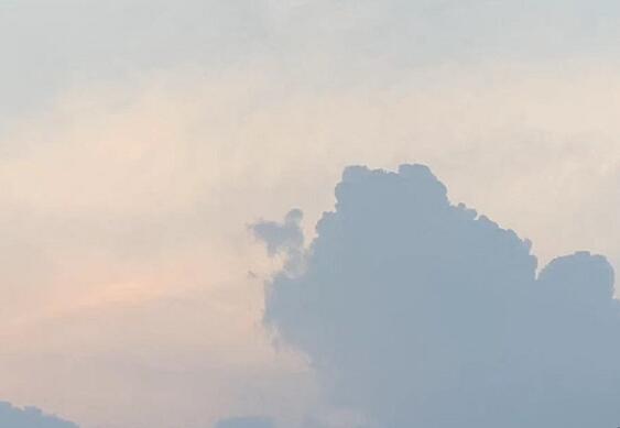 做了三年催收的经历