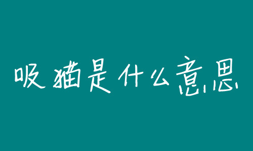 吸猫是啥意思是什么?