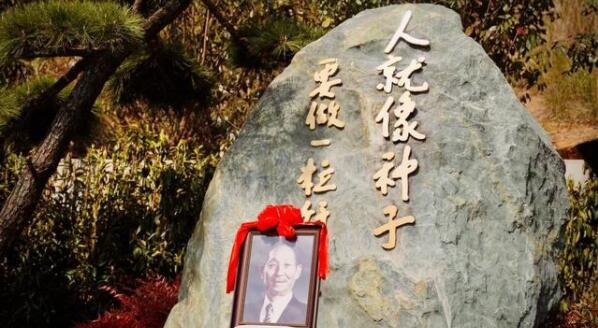 袁隆平安葬仪式上这句话让人破防