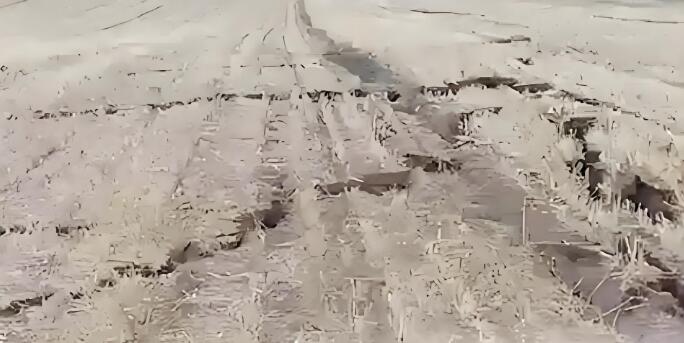 山东枣庄部分耕地不规则裂开