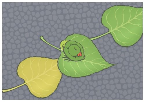 果然数学的尽头是英语