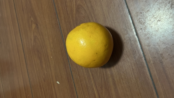 原来丑橘并不是橘子